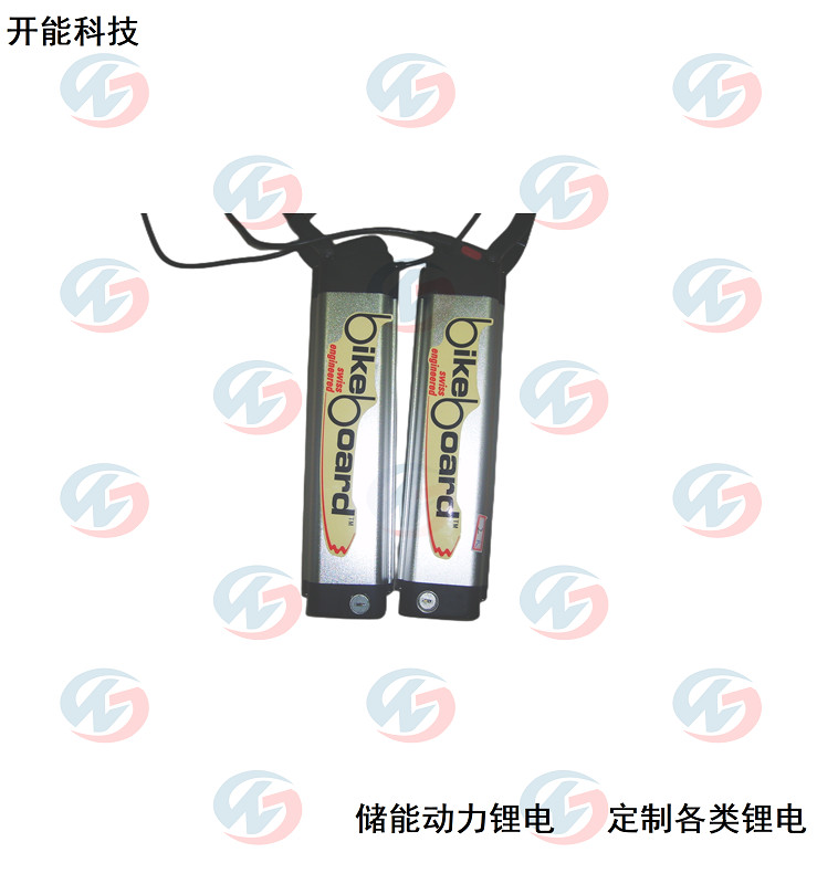 24V10AH板車動力鋰電池